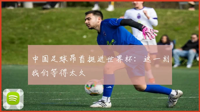中国足球昂首挺进世界杯:这一刻我们等得太久