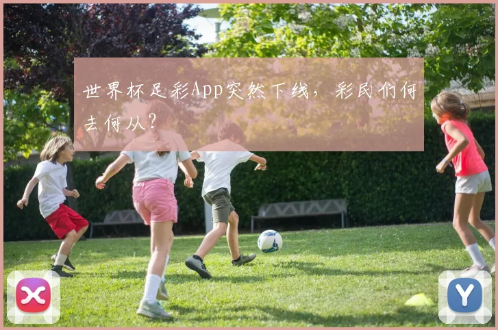 世界杯足彩App突然下线，彩民们何去何从？