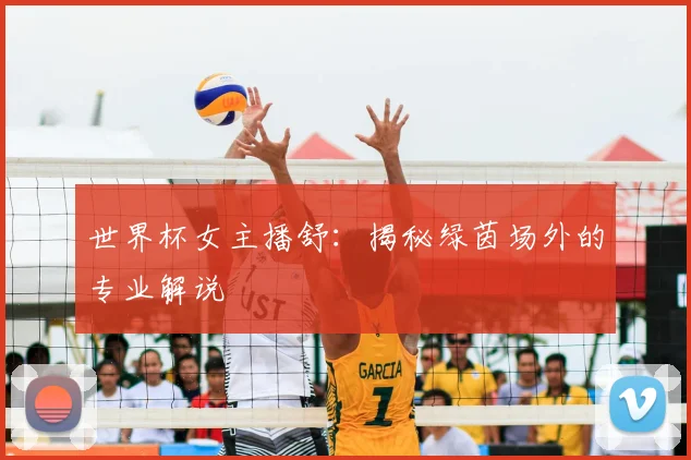 世界杯女主播舒：揭秘绿茵场外的专业解说