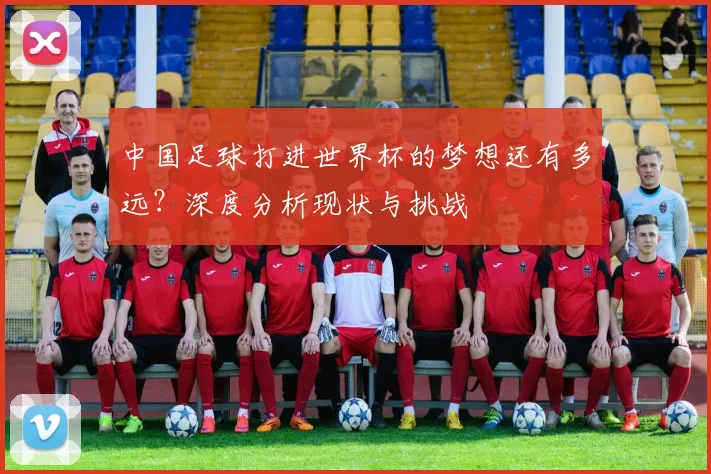 中国足球打进世界杯的梦想还有多远？深度分析现状与挑战