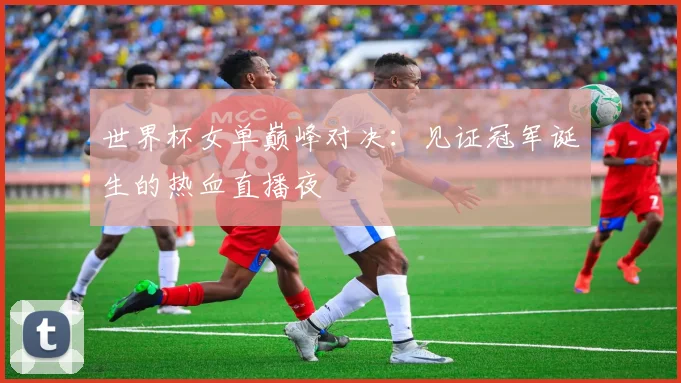 世界杯女单巅峰对决：见证冠军诞生的热血直播夜